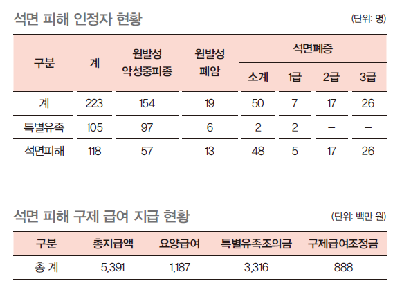 석면 피해 인정자 현황을 보여주는 그림으로 특별유족과 석면피해로 구분하며, 석면 피해자들의 구제 급여 지급 현황으로 홀지금액, 요양급여, 특별유족조의금과 구제급여조정금으로 구분된다.